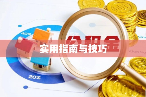 台东实用指南与技巧