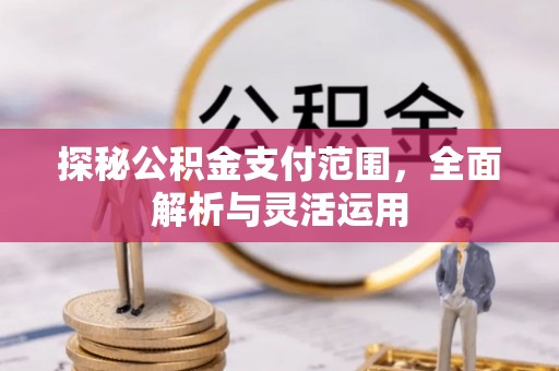 台东探秘公积金支付范围，全面解析与灵活运用