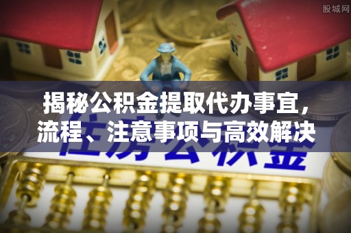 台东揭秘公积金提取代办事宜，流程、注意事项与高效解决方案