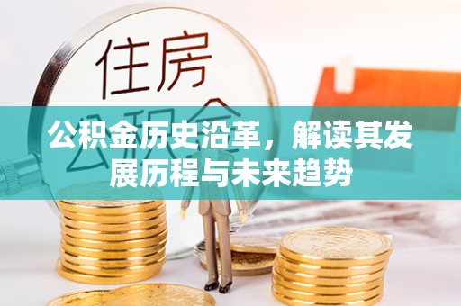 台东公积金历史沿革，解读其发展历程与未来趋势