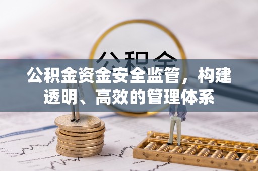 台东公积金资金安全监管，构建透明、高效的管理体系
