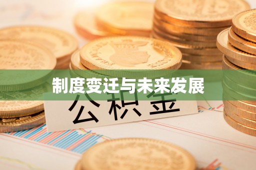 台东制度变迁与未来发展