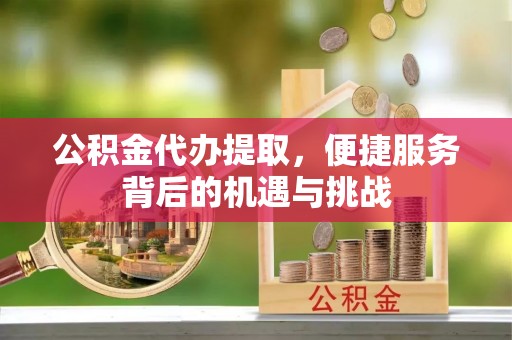 台东公积金代办提取，便捷服务背后的机遇与挑战