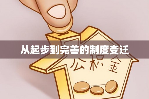 台东从起步到完善的制度变迁