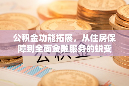 台东公积金功能拓展，从住房保障到全面金融服务的蜕变
