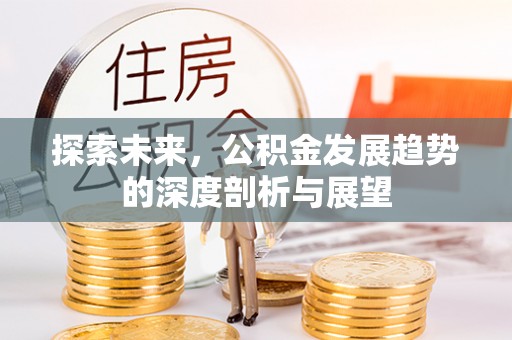 台东探索未来，公积金发展趋势的深度剖析与展望