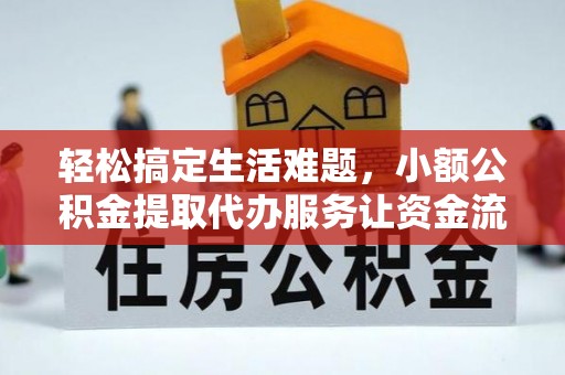 台东轻松搞定生活难题，小额公积金提取代办服务让资金流动更便捷