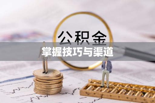 台东掌握技巧与渠道