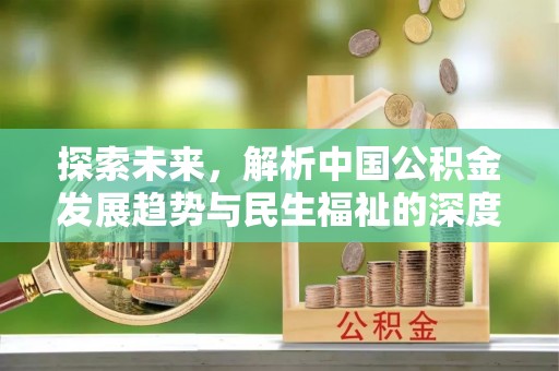 台东探索未来，解析中国公积金发展趋势与民生福祉的深度融合