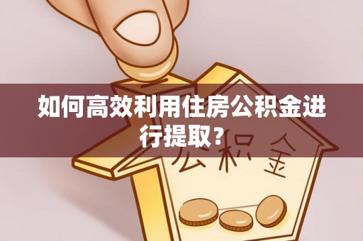 台东如何高效利用住房公积金进行提取？