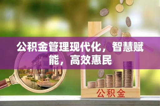 台东公积金管理现代化，智慧赋能，高效惠民