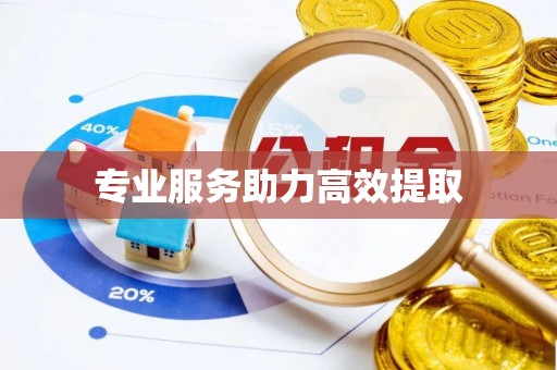 台东专业服务助力高效提取