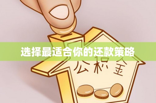 台东选择最适合你的还款策略