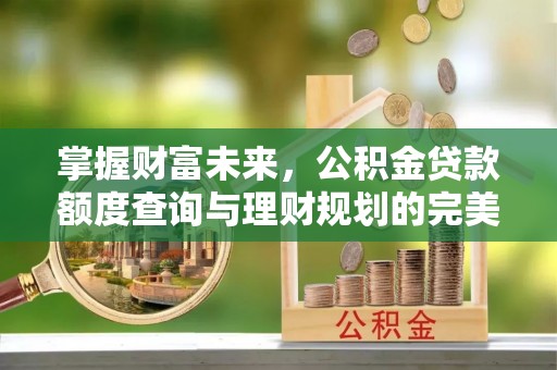 台东掌握财富未来，公积金贷款额度查询与理财规划的完美结合