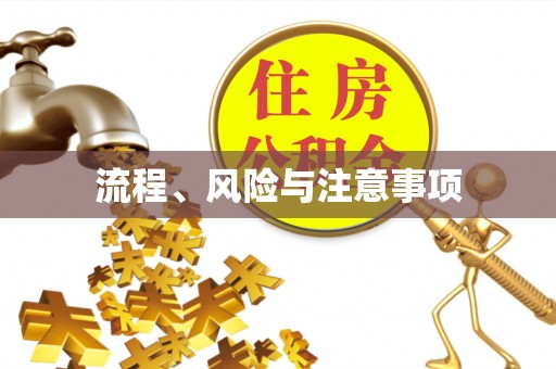 台东流程、风险与注意事项