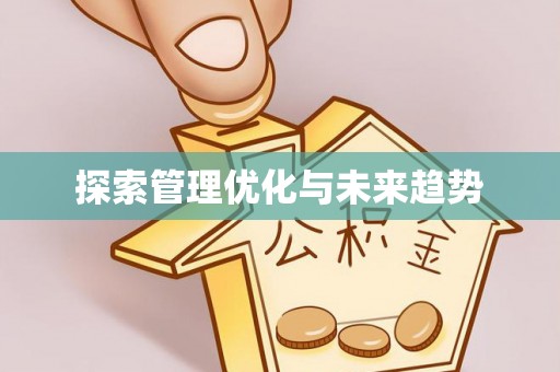 台东探索管理优化与未来趋势