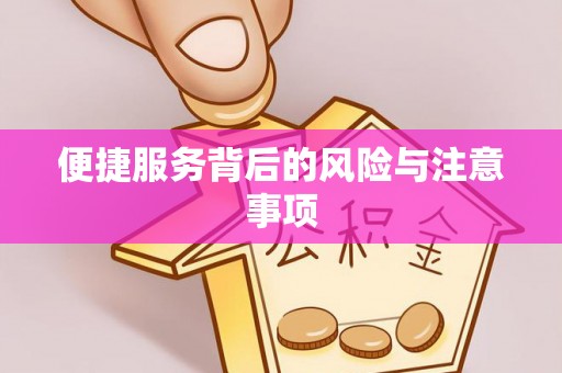 台东便捷服务背后的风险与注意事项