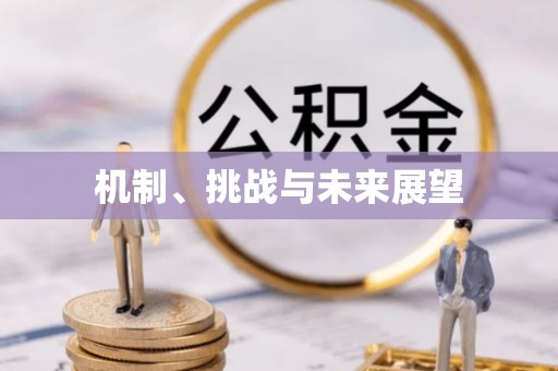 台东机制、挑战与未来展望